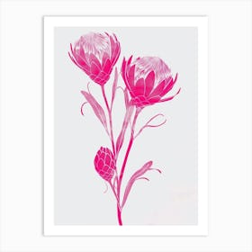 Hot Pink Protea 2 Art Print