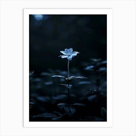 Dark Blue Flower 11 Art Print