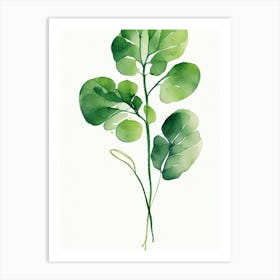 Watercress Leaf Minimalist Watercolour 1 Art Print
