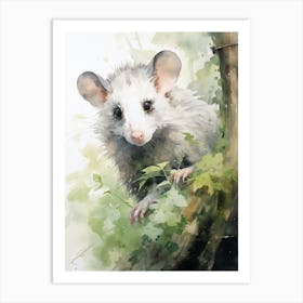 Light Watercolor Painting Of A Urban Possum 4 Art Print