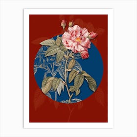Vintage Botanical French Rosebush with Variegated Flowers on Circle Blue on Red n.0104 Art Print