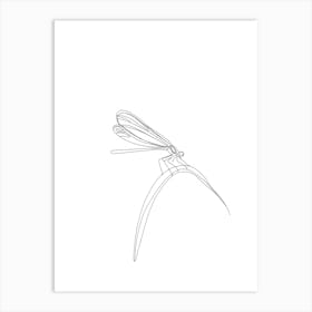 Dragonfly Art Print