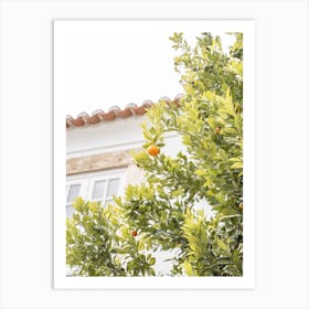 Orange Tree 2 Art Print