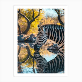 Zebra Drinking Water 1 Art Print