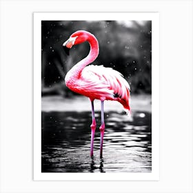 Flamingo Pink - Flamingo Bird Art Print