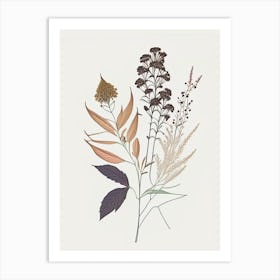 Boneset Spices And Herbs Minimal Line Drawing 1 Art Print