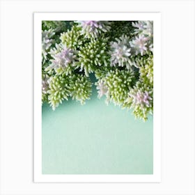 Acropora Hyacinthus Storybook Watercolour Art Print