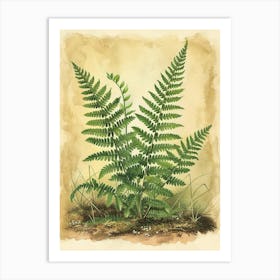 Vintage Illustration Hares Foot Fern 3 Art Print