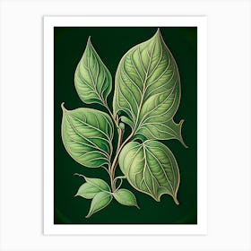 Jasmine Leaf Vintage Botanical 2 Art Print