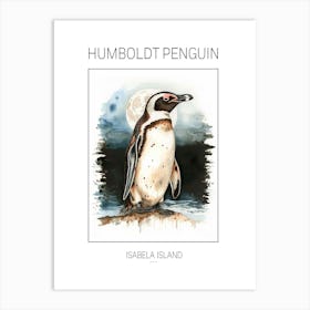 Humboldt Penguin Isabela Island Watercolour Painting 4 Poster Art Print