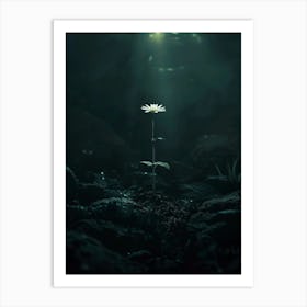 Flower In The Dark 11 Art Print