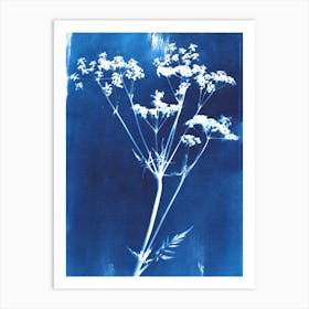 Cyanotype Wild Flower Art Print