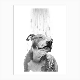 Pitbull Dog in the shower Art Print