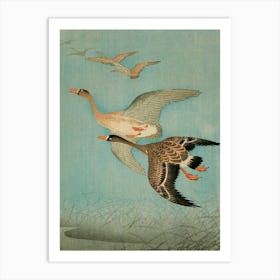 Japanese Ukiyo-E Geese In Flight Art Print