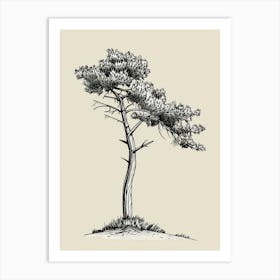 Pine Tree Minimalistic Drawing 2 Art Print