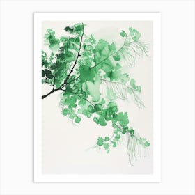 Green Ink Painting Of A Maidenhair Fern 4 Art Print