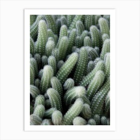 Green Cactus Garden Art Print