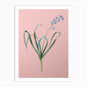 Vintage Dutch Hyacinth Botanical on Soft Pink n.0410 Art Print