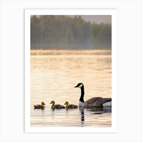 Canadian Geese 17 Art Print