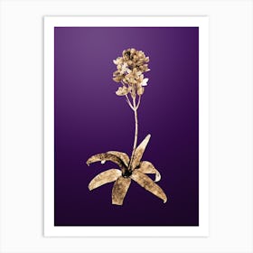 Gold Botanical Sun Star on Royal Purple n.0091 Art Print