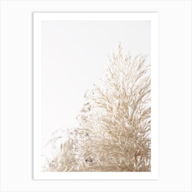 Dried Wheat Grass Art Print