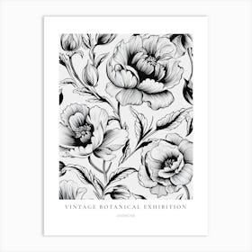 Anemone 2 B&W Vintage Botanical Poster Art Print