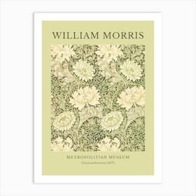 William Morris Metropolitan Museum 6 Art Print