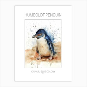 Humboldt Penguin Oamaru Blue Penguin Colony Watercolour Painting 1 Poster Art Print