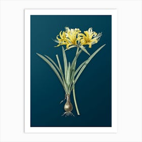 Vintage Golden Hurricane Lily Botanical Art on Teal Blue n.0283 Art Print