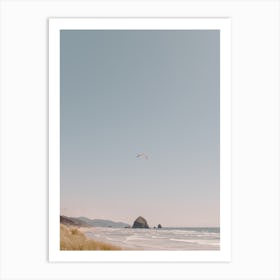 Oregon Coast Seagull Art Print