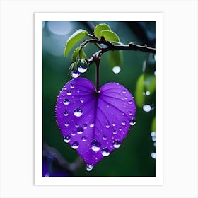 Raindrops On A Purple Leaf Art Print