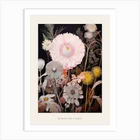 Flower Illustration Everlasting Flower 1 Poster Art Print