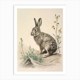 Rhinelander Rabbit Drawing 1 Art Print