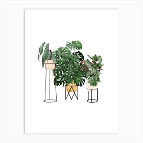 House Plants 3 Art Print