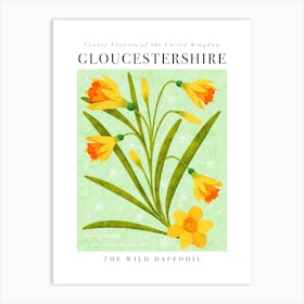 County Flower of Gloucestershire The Wild Daffodil Art Print