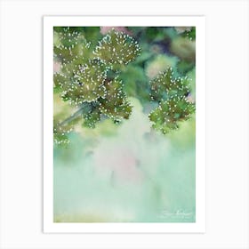 Acropora Valida Storybook Watercolour Art Print