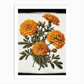 Marigolds Art Print