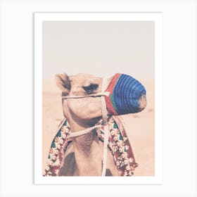 Camel In Desert Art Print