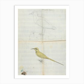 2 Birds Aroust El Bahar, Luigi Balugani Art Print