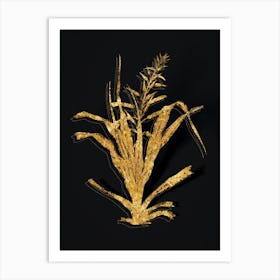 Vintage Pitcairnia Bromeliaefolia Botanical in Gold on Black n.0253 Art Print