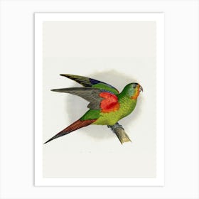 Parrot 3 Art Print