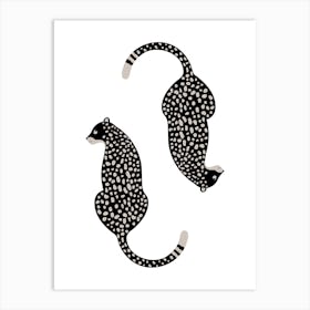 Cheetahs Art Print