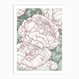 Kansas Peonies Pink 2 Drawing Art Print