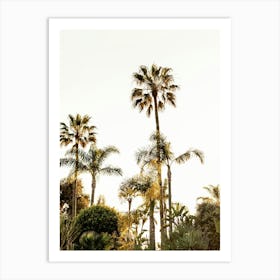 Malibu Palm Trees Art Print