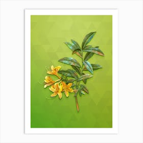Vintage Yellow Azalea Botanical Art on Love Bird Green n.1444 Art Print