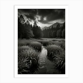 Black And White Landscape Art Print