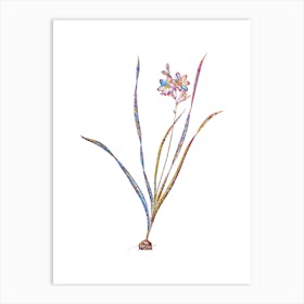 Stained Glass Gladiolus Lineatus Mosaic Botanical Illustration on White n.0027 Art Print