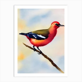 Baldpate Watercolour Bird Art Print