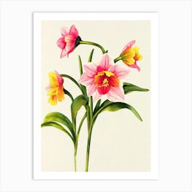 Daffodils Vintage Flowers Flower Art Print