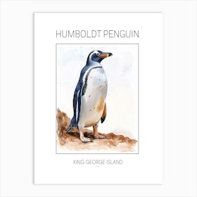 Humboldt Penguin King George Island Watercolour Painting 2 Poster Art Print